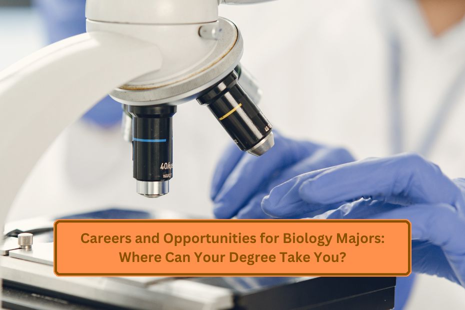 Careers and Opportunities for Biology Majors: Where Can Your Degree Take You?