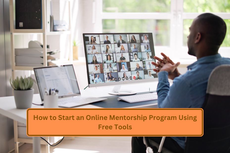 Online Mentorship Program